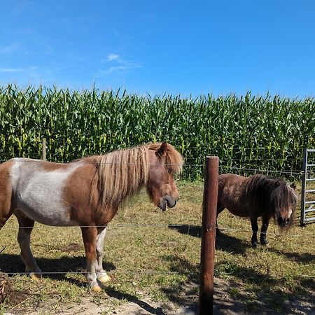 Swifterlodge Kerkenveld ภายนอก รูปภาพ