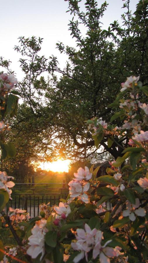 Swifterlodge Kerkenveld ภายนอก รูปภาพ